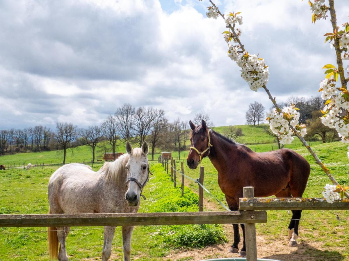 Gites Et Roulottes Au Domaine De La Trille Sainte-Foi Esterno foto