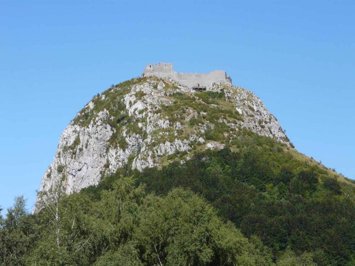 Gites Et Roulottes Au Domaine De La Trille Sainte-Foi Esterno foto